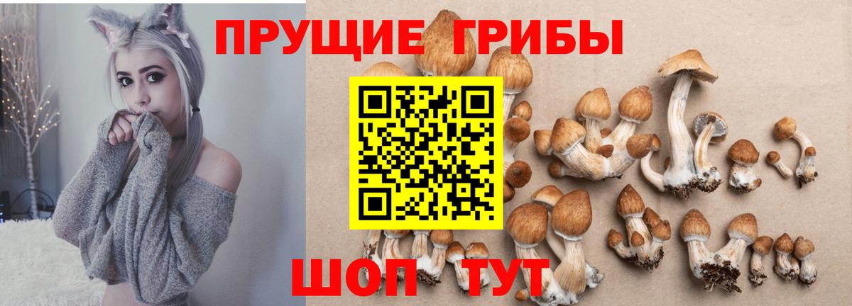 Псилоцибиновые грибы Magic Shrooms Дербент